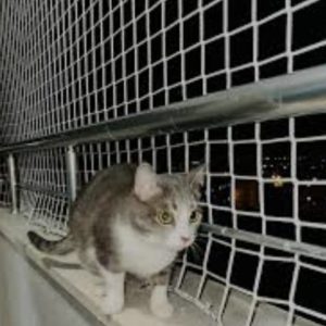 siverek-file-WhatsApp Image 2025-09-03 at 23.06.29